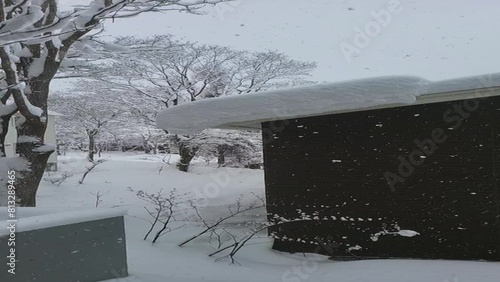 A Winter in Hokkaido Through A Window photo