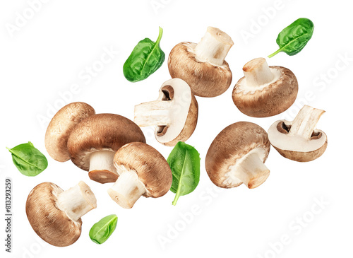 Fly of  champignon mushrooms with leaves  on white background. Top view.