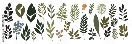 Set of Various Green Plant Leaves Elements