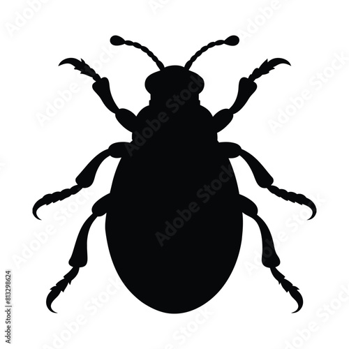 silhouette of a beetle isolated on white