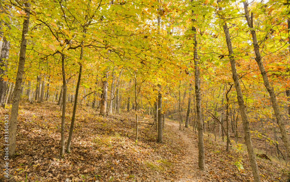 Obraz premium Sunny view of the beautiful fall color of Hobbs State Park-Conservation Area
