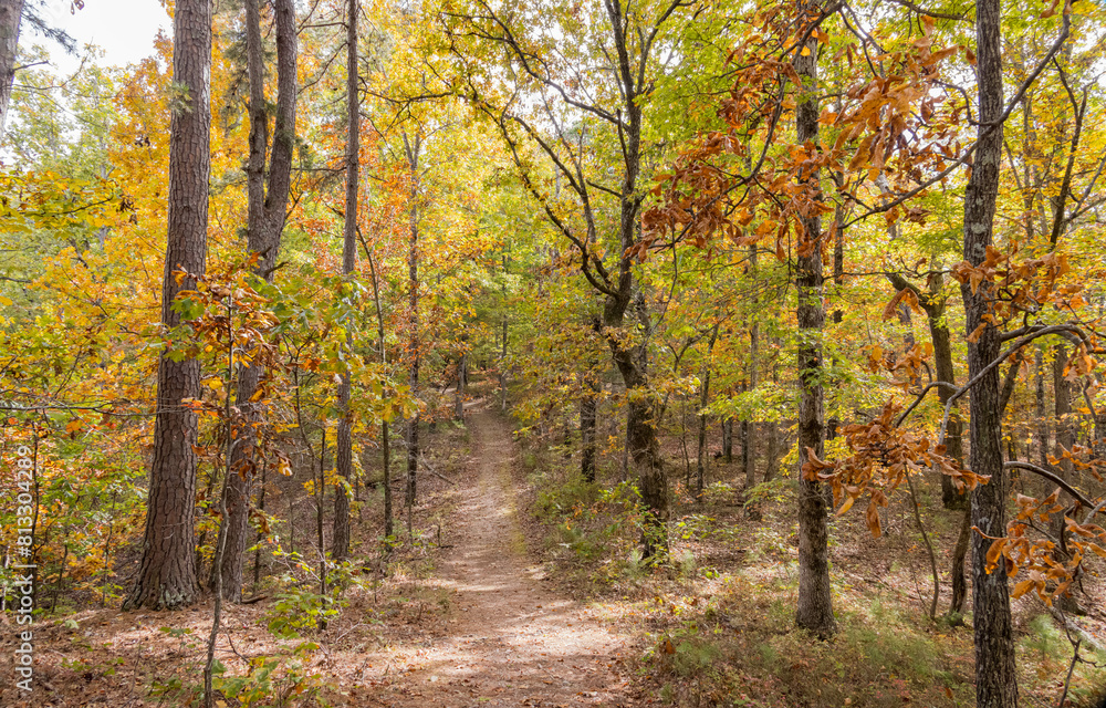 Sunny view of the beautiful fall color of Hobbs State Park-Conservation Area Sunny view of the beautiful fall color of Hobbs State Park-Conservation Area