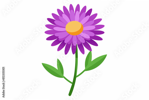 aster flower vector illustration