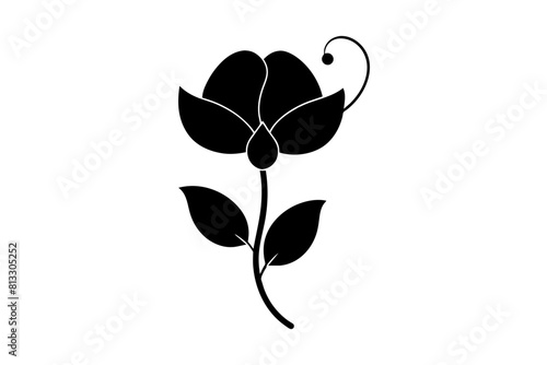 sweet pea flower vector illustration