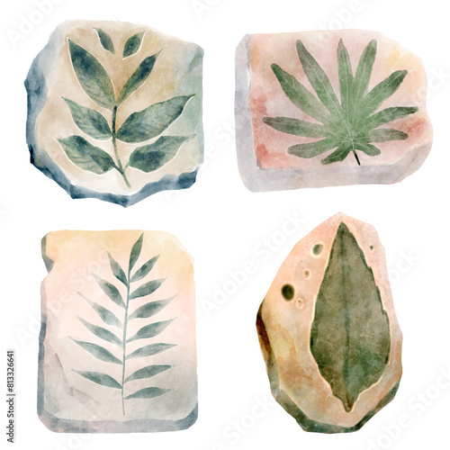 Fossil of plant in rock . Watercolor paint design . Illustration . photo