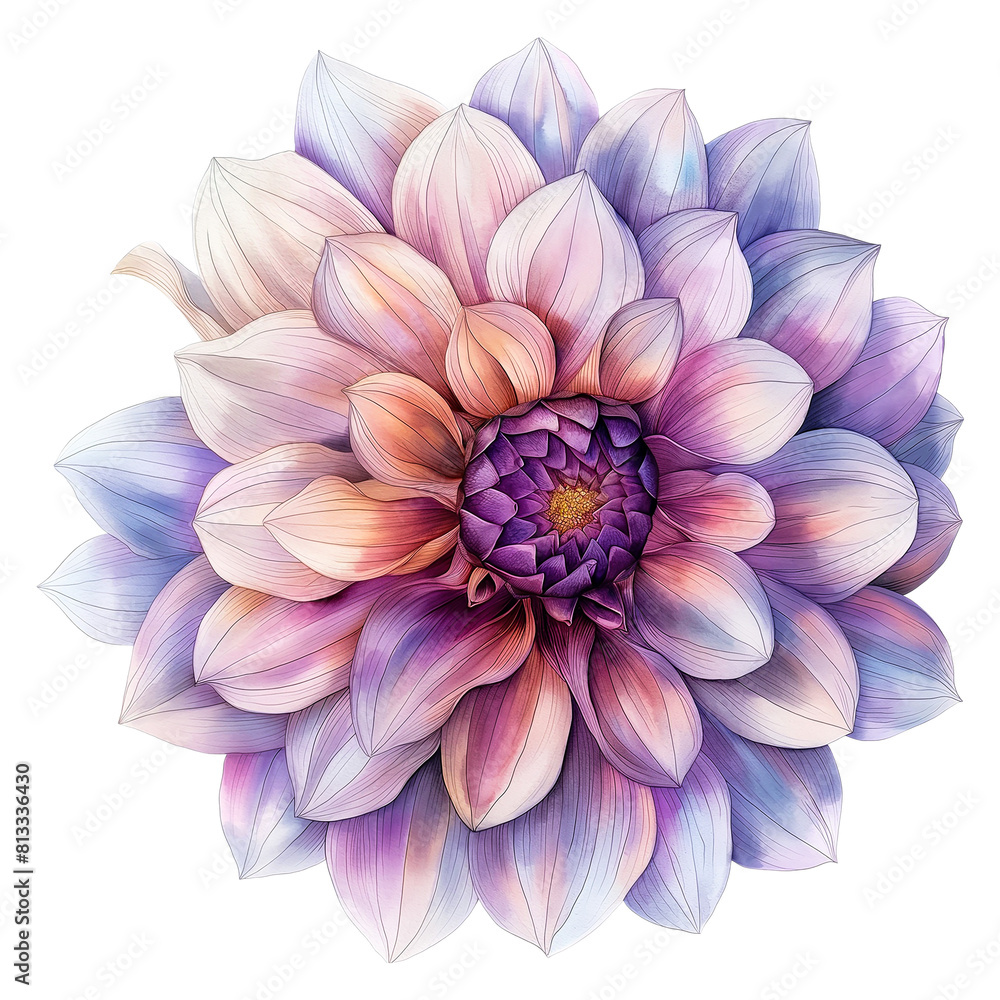 Obraz premium Dahlia flower in watercolor style isolated on transparent background