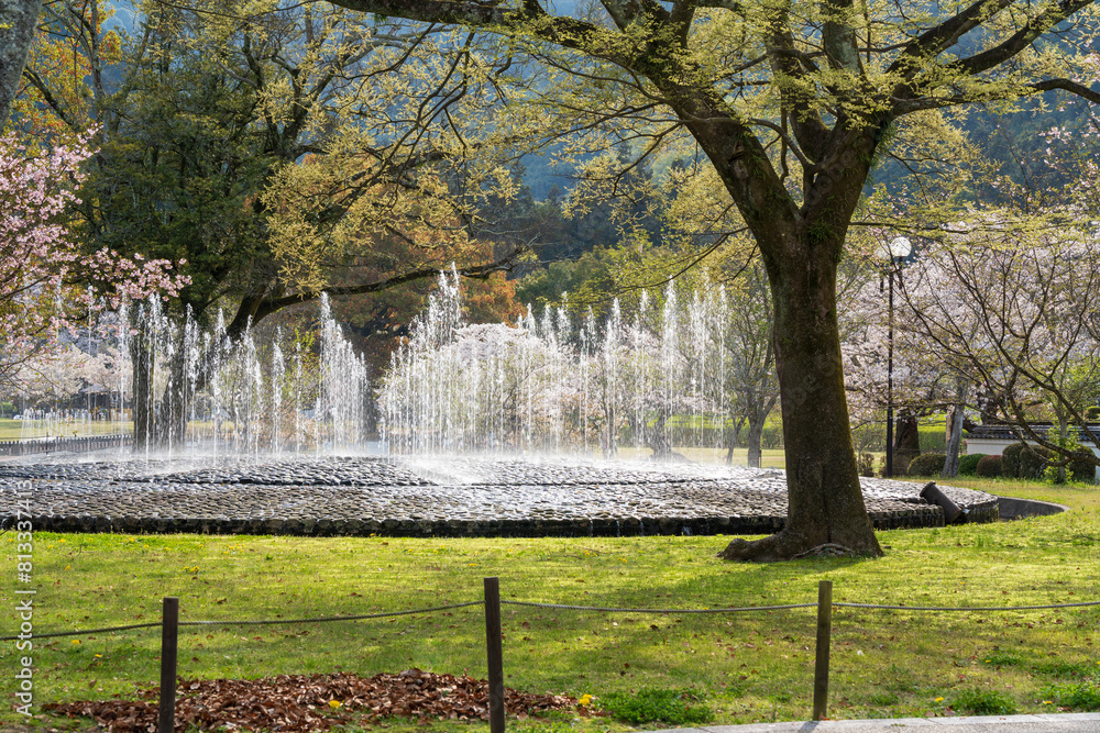 Obraz premium Fountain in Kikko Park at the foot of Iwakuni Castle. Cherry blossoms full blooming in springtime. Iwakuni, Yamaguchi Prefecture, Japan.