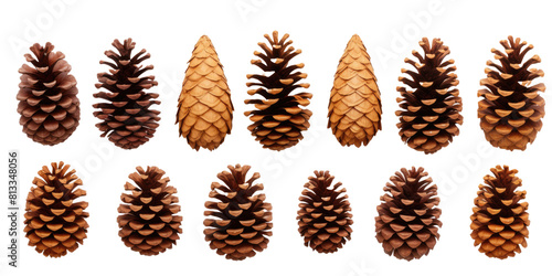 collection of small pinecones for Christmas tree decoration isolated against a transparent background.