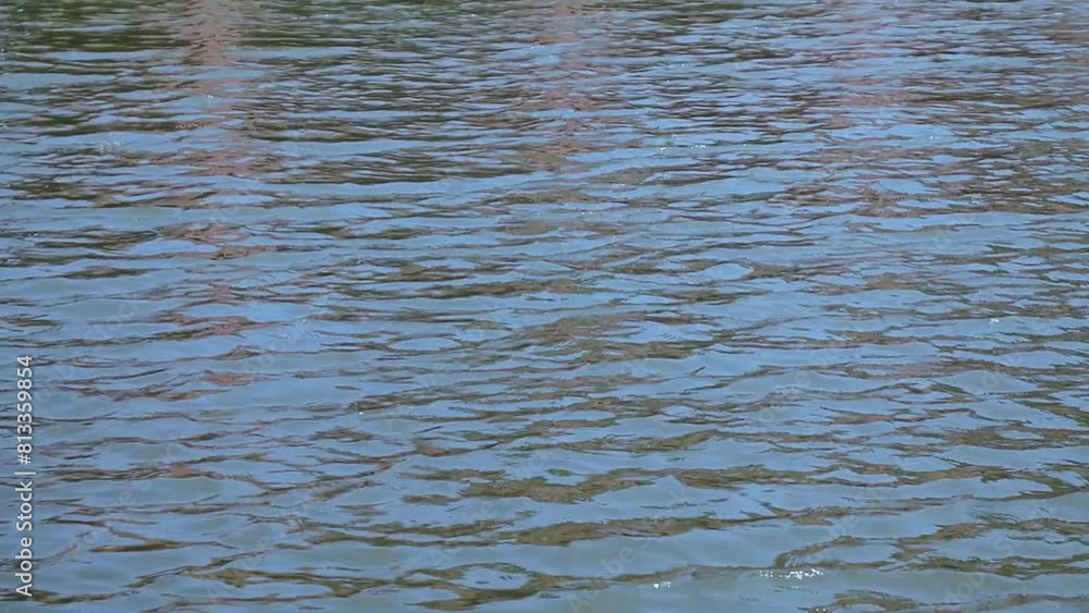 Ripples on the water surface and the reflection on the surface of the spring river. Ripples on the water surface and the reflection on the surface of the spring river.