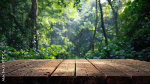 camping wooden tabletop, empty wood table top in green forest, 