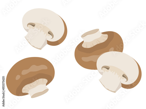 マッシュルームのベクターイラスト