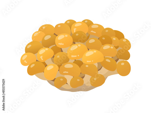 なめこのベクターイラスト