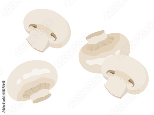 ホワイトマッシュルームのベクターイラスト