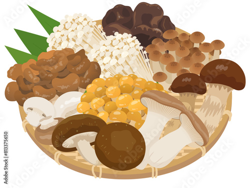 きのこの盛り合わせ_ベクターイラスト