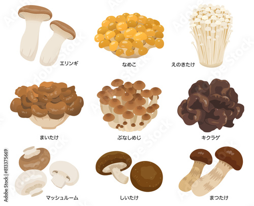 食用きのこのベクターイラストセット