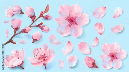 A delicate set of pink cherry blossoms arranged against a soft light blue background, perfect for spring-themed designs.

