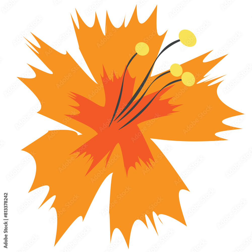 Flat design Tropical flower Flat design Tropical flower