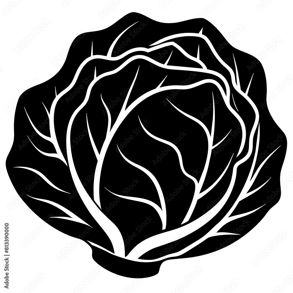 Cabbage vector icon silhouette illustration art Cabbage vector icon silhouette illustration art