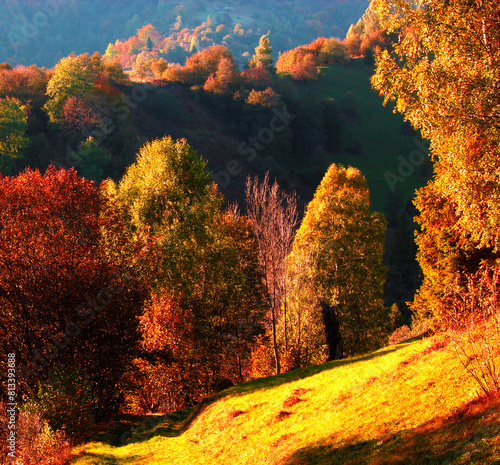 stunning autumn scene in mountains, autumn morning dawn, nature colorful background, Carpathians mountains, Ukraine, Europe photo