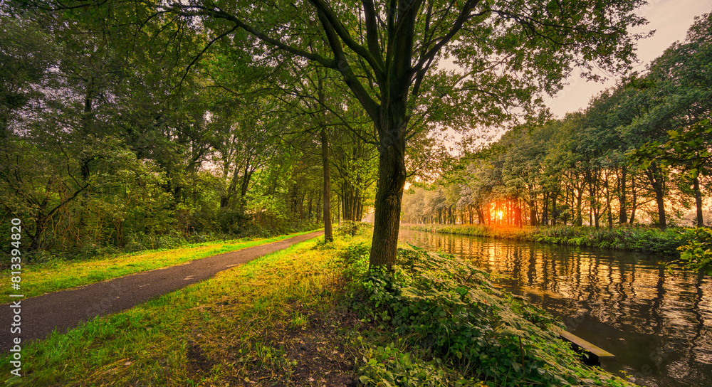 Fototapeta premium Sunset light shining through the trees alongside the Wilhelminakanaal canal in The Netherlands.