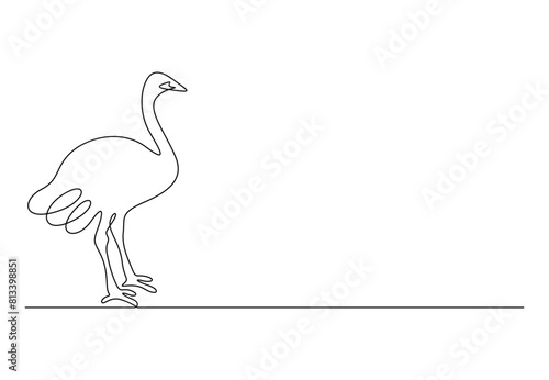 Ostrich continuous one line drawing. Isolated on white background vector illustration