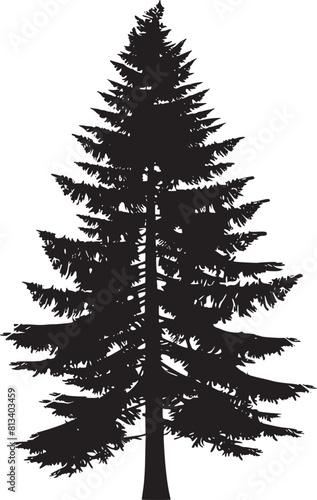 Pine tree silhouettes. Evergreen forest firs and spruces black shapes, wild nature trees templates. Vector illustration woodland trees set on white background