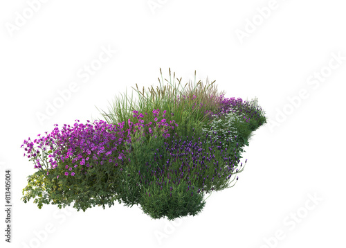 3d rendering of flowers, plants and flowers photo