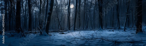A dark forest covered in snow, creating a striking contrast between the white ground and the black trees. The snow appears undisturbed, with no visible footprints or wildlife in sight. photo