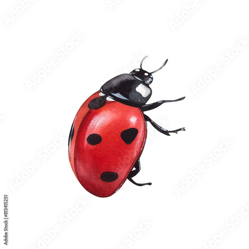 Ladybug clipart, isolated illustration. Beautiful insect on a white background, watercolor painted by hand art for wallpaper. Cartoon cute animal. Watercolour print, hand drawn,red lady bug black dots
