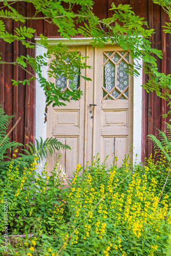 Door of a red croft with flowers in the overgrown garden