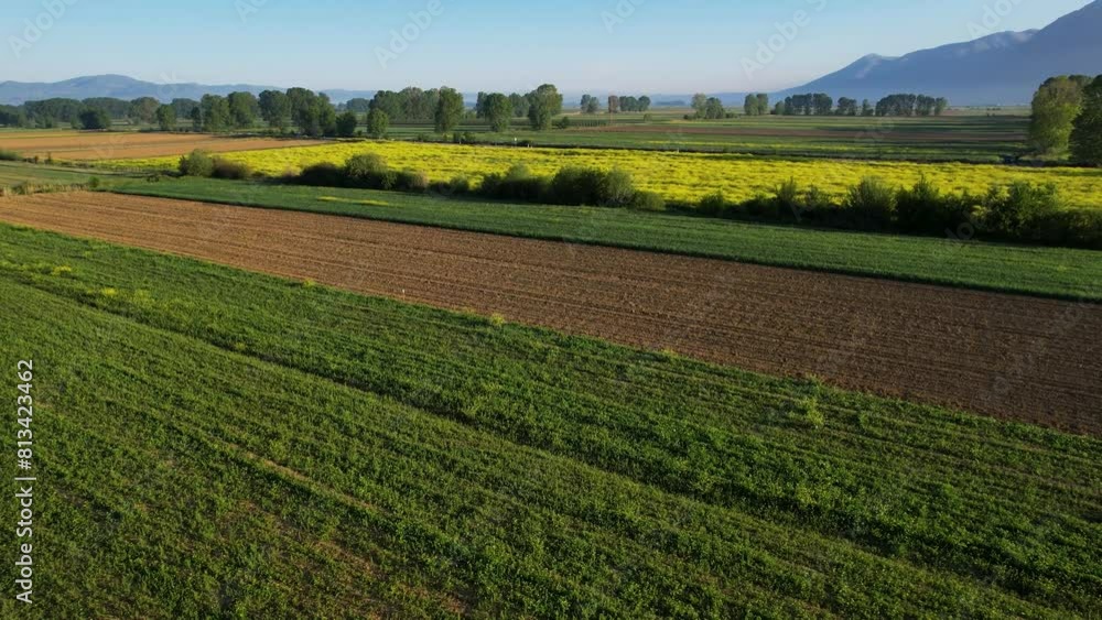 Beautiful Background with Colorful Crop Parcels in the Vibrant Agricultural Fields at Sunrise, Spring Morning Beautiful Background with Colorful Crop Parcels in the Vibrant Agricultural Fields at Sunrise, Spring Morning