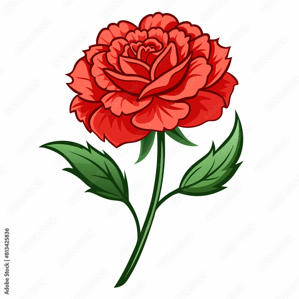 Carnation Flower Vector illustration Carnation Flower Vector illustration