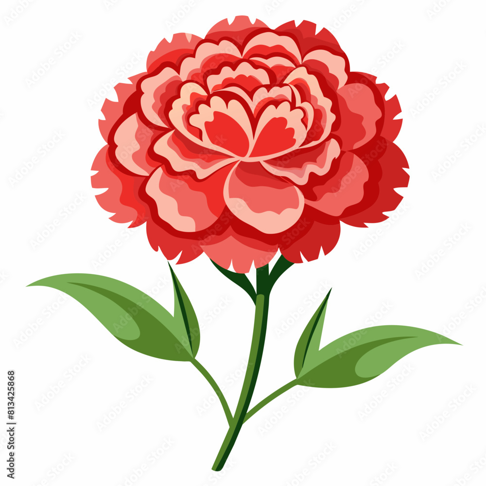 Carnation Flower Vector illustration Carnation Flower Vector illustration