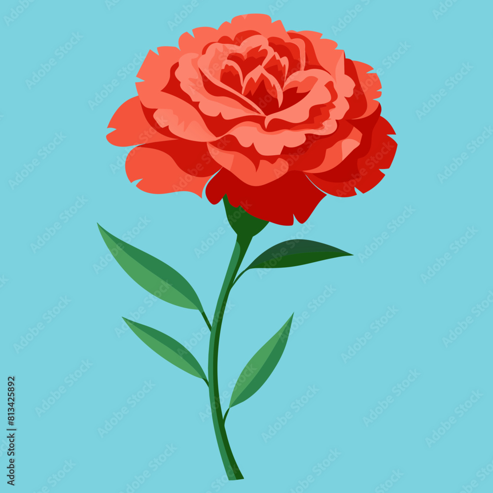 Carnation Flower Vector illustration Carnation Flower Vector illustration