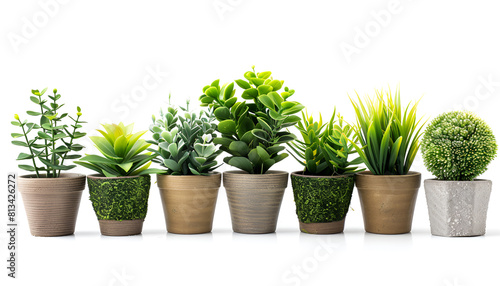 Set of artificial plants in flower pots isolated on white
