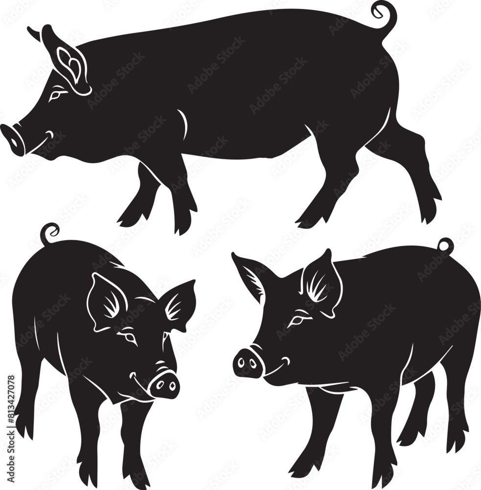Fototapeta premium black and white pig