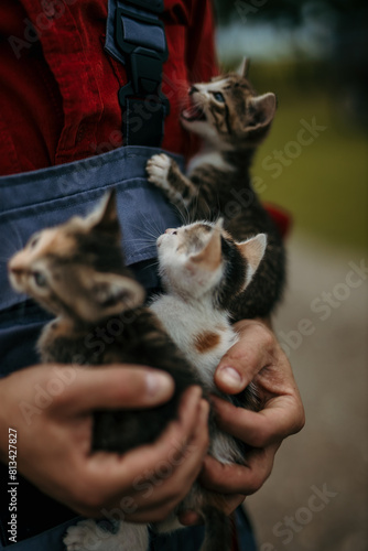 Group of small kitties hold by unrecognizable farmer
