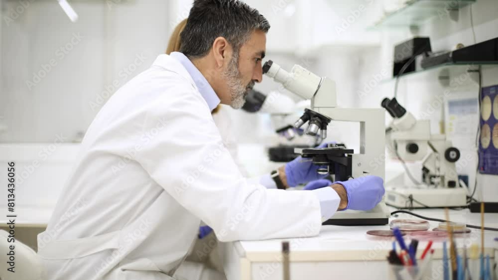 Colleagues working together on a project analyzing a sample with a microscope in a laboratory Colleagues working together on a project analyzing a sample with a microscope in a laboratory