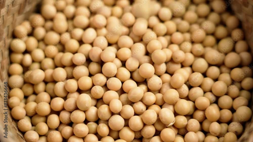 Organic soy beans falling into a rustic wicker bowl. Raw dried soya grains. Healthy legume ingredient. Slow motion. Rotation Organic soy beans falling into a rustic wicker bowl. Raw dried soya grains. Healthy legume ingredient. Slow motion. Rotation