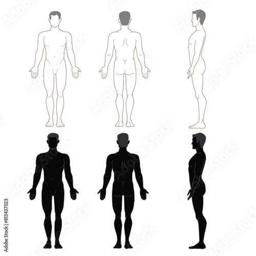 Illustration of men's body and male anatomy. vrctor photo