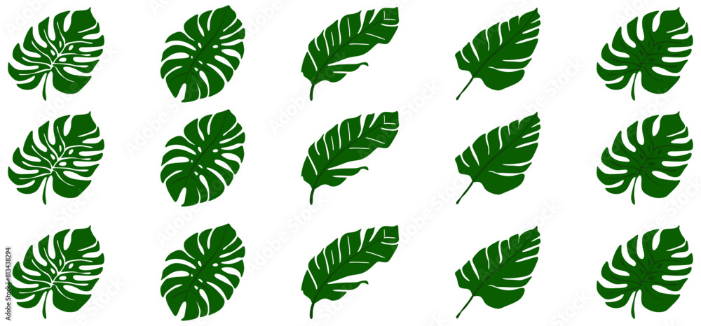 Tropical Monstered Black leaves set hand drawn line Art  vector isolated on white Background