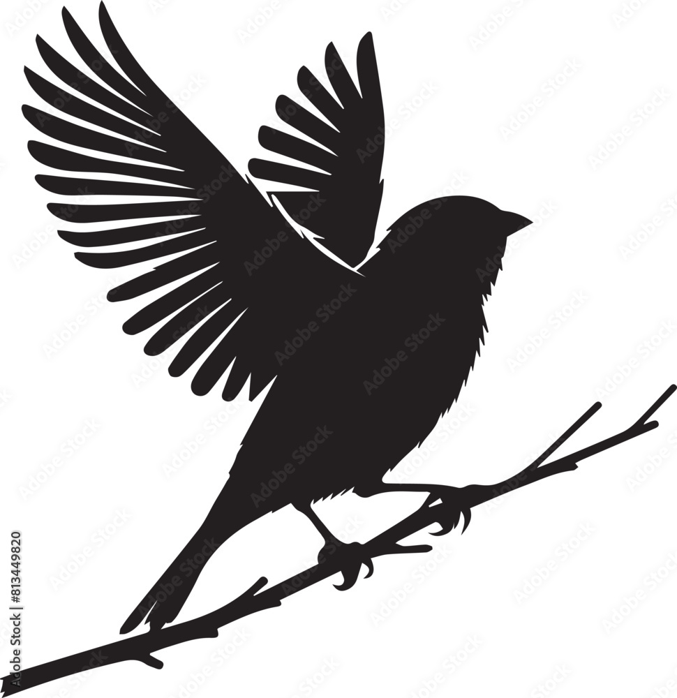 Obraz premium Sparrow bird flying silhouette. Sparrow birds vector design isolated on white background.