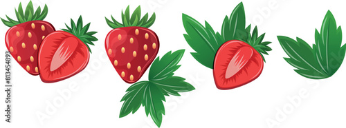 Strawberry illustations and slices of strawberries. Vector illustration of strawberries. Vector for decorative poster, emblem natural product, farmers market.  photo