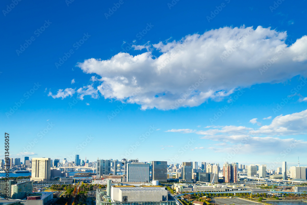 Fototapeta premium 東京湾岸エリアから望む都心