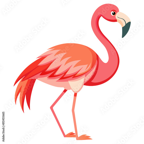 Flamingo icon. Cartoon illustration of flamingo vector icon for web