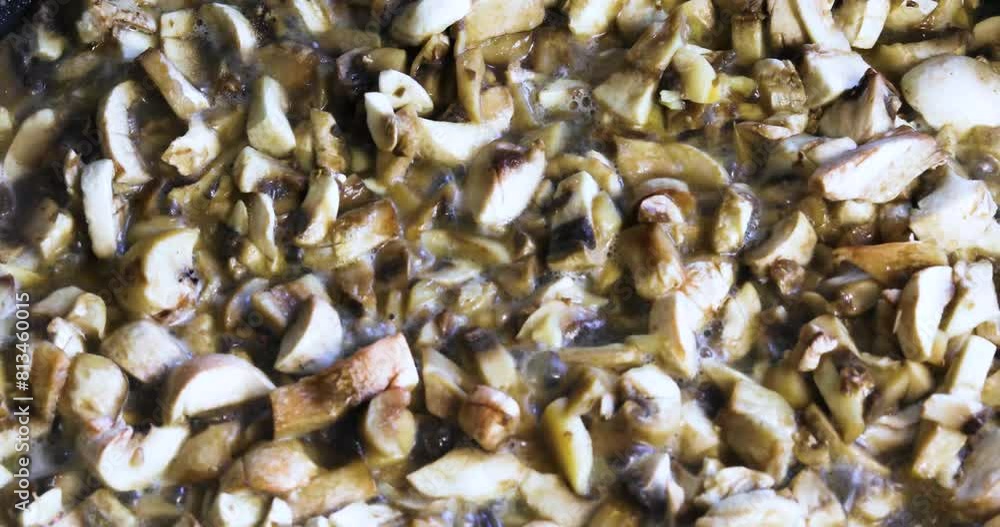 cook finely chopped champion mushrooms in a frying pan. Vegan edor nutrition. vegetable protein cook finely chopped champion mushrooms in a frying pan. Vegan edor nutrition. vegetable protein