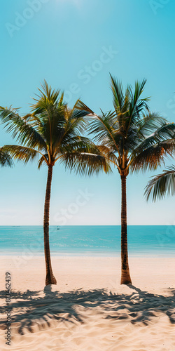 Praia Serena com Coqueiros