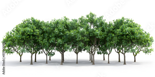 Green Tree Group Isolated on White Background
