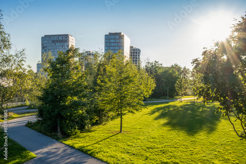 Green trees and grass in park near office buildings photo