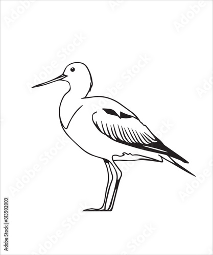 Avocet Bird Victor Design photo